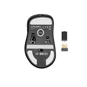 MM731 Black - main unit and lag-free 2.4GHz wireless USB adapter